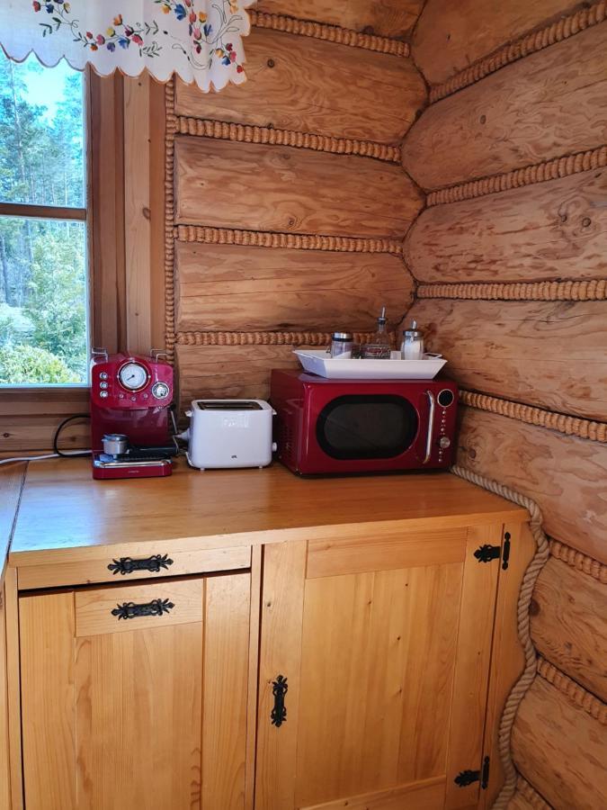 Nydala Rustic Villa Koscielisko Bagian luar foto