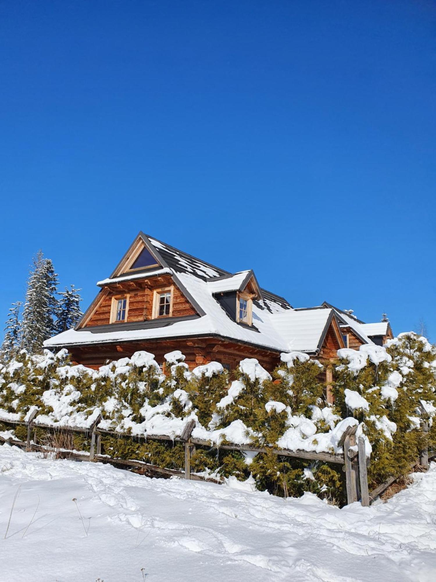 Nydala Rustic Villa Koscielisko Bagian luar foto