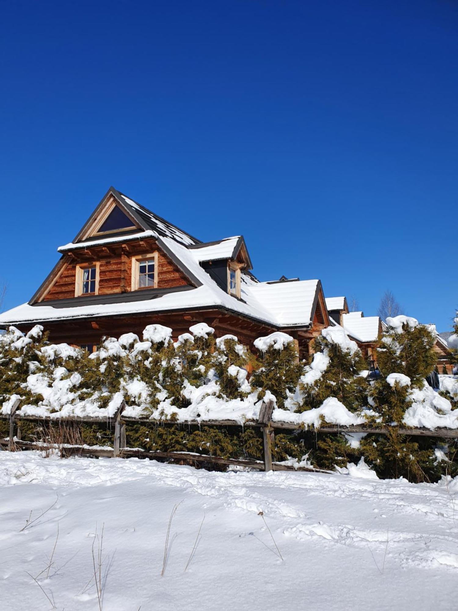 Nydala Rustic Villa Koscielisko Bagian luar foto